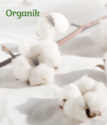 Organik
